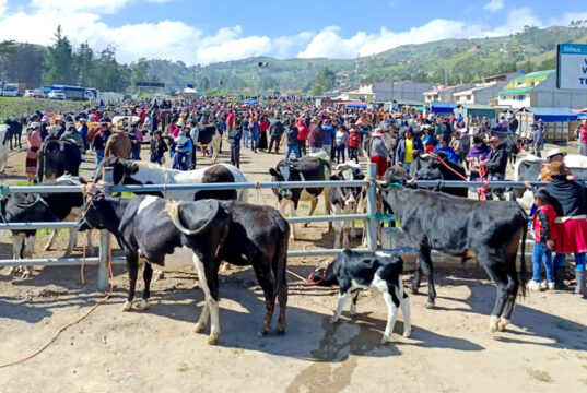 MEJORAS EN LA PLAZA DE GANADO DE CAÑAR