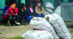 PRODUCTORES DE ZHUYA Y PURUVÍN RECIBIERON SEMILLA